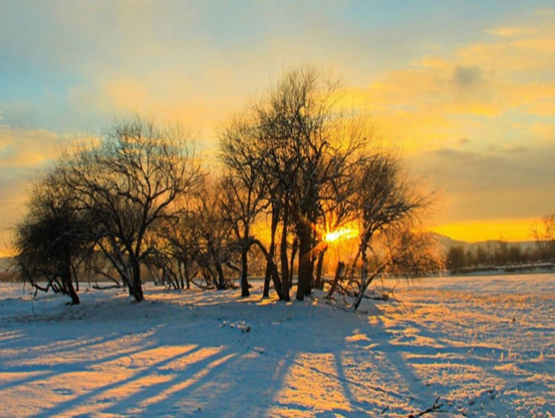 11 дүгээр сарын 10-20-ныг хүртэлх цаг агаарын урьдчилсан төлөв